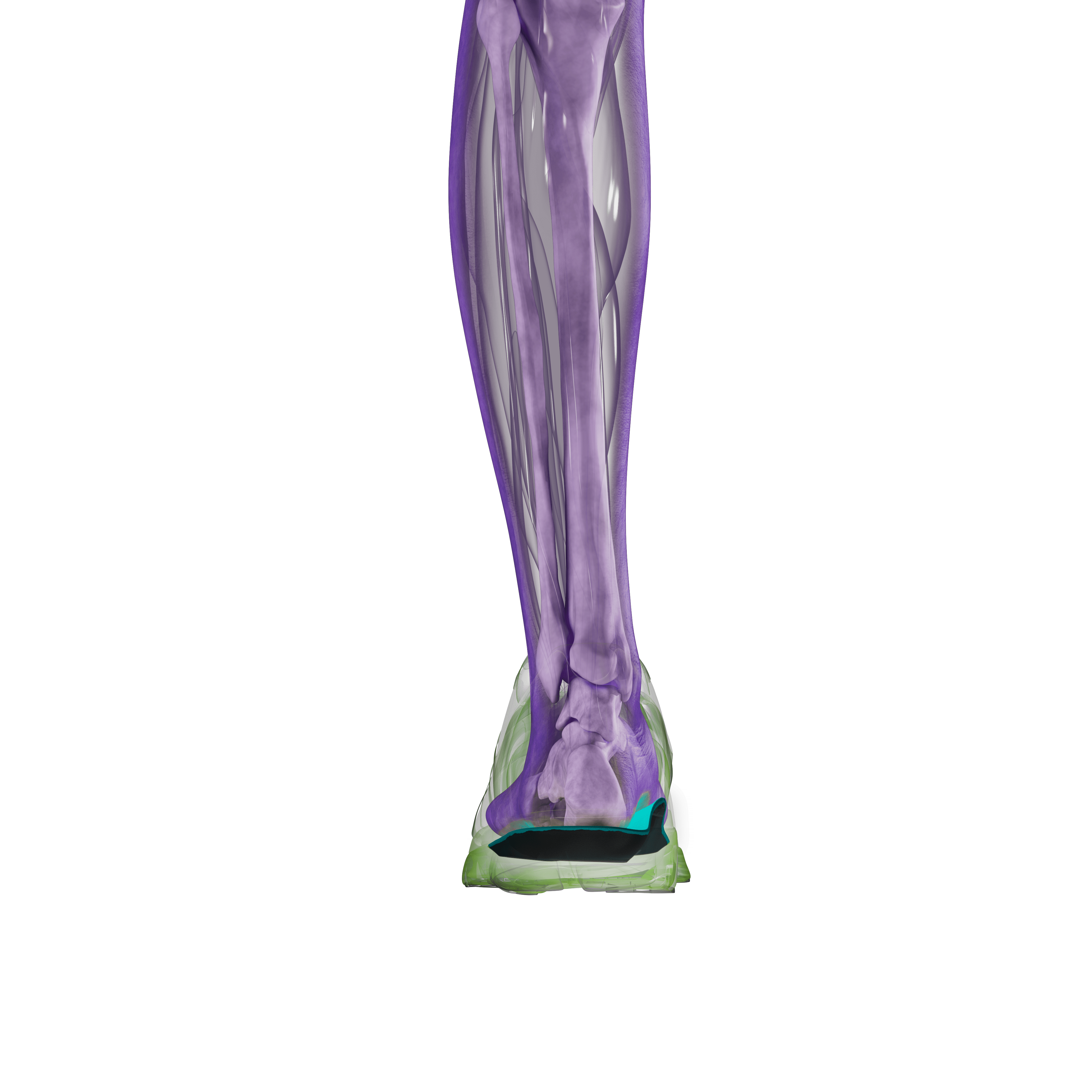 Einlagen Formthotics Hockey Single Narrow Fit