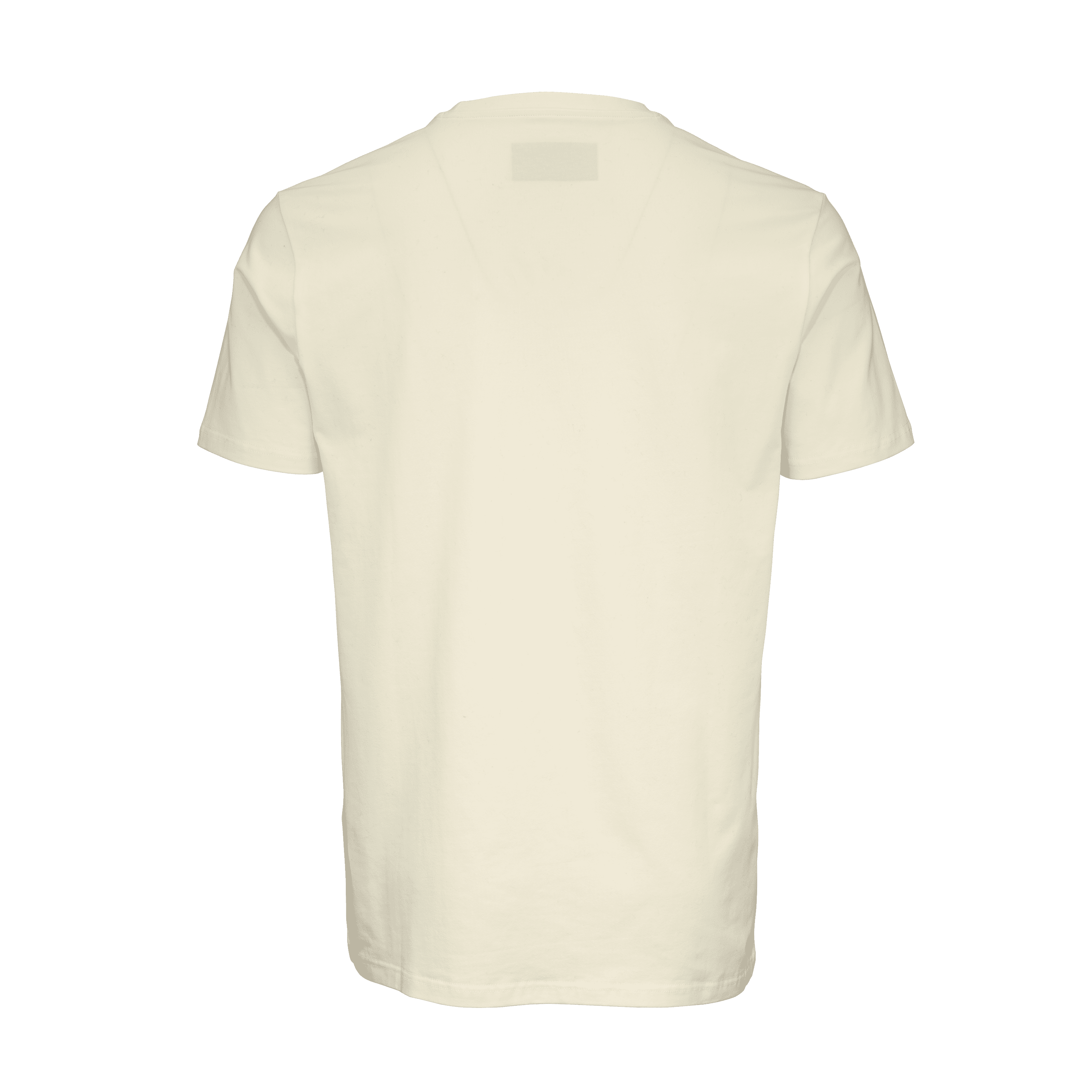 Lifestyle CCM Core SS Tee SR 